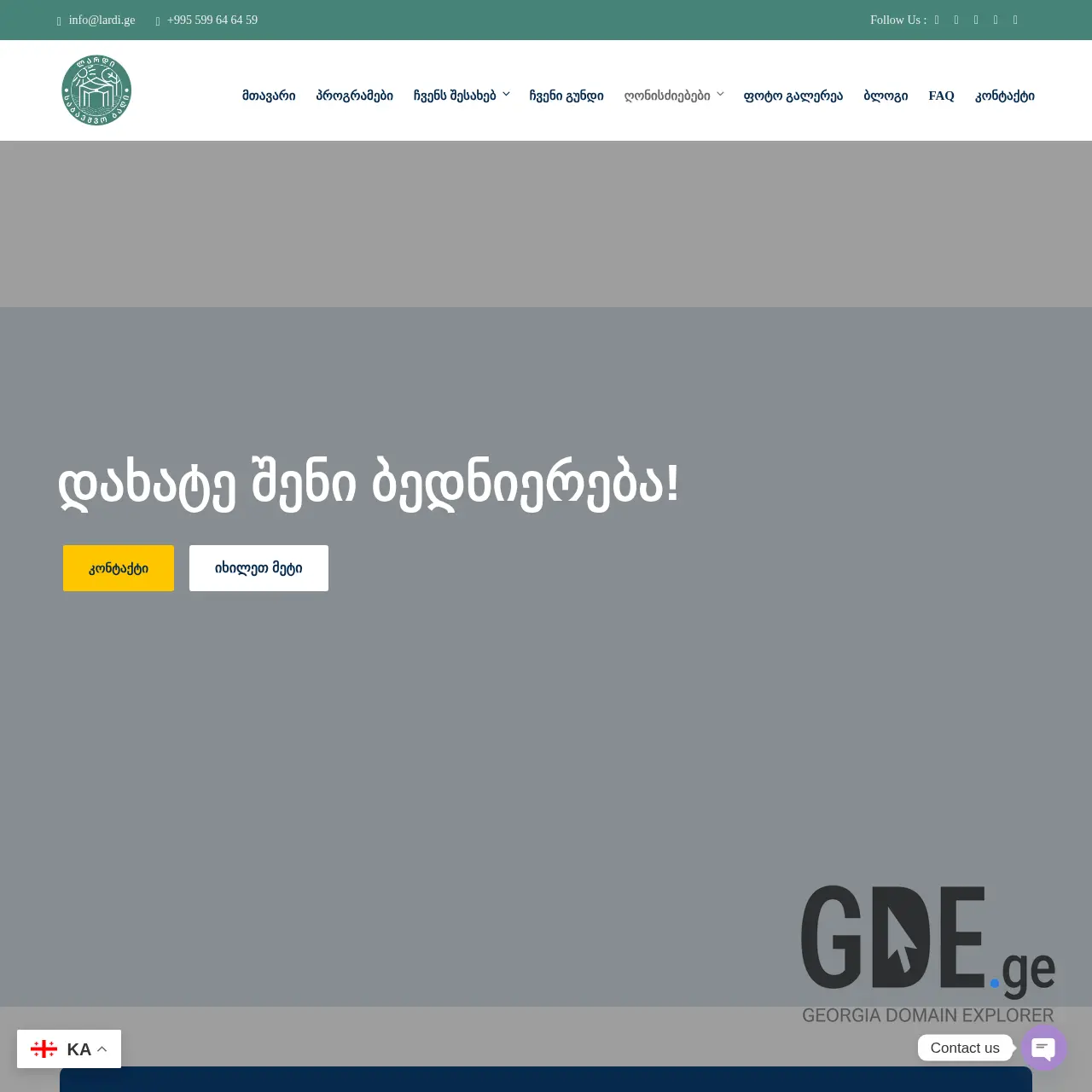 Screenshot of the site lardi.ge at 2025-12-09