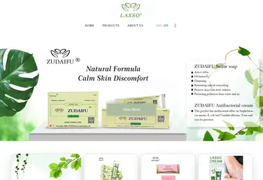 Screenshot of lasso.ge