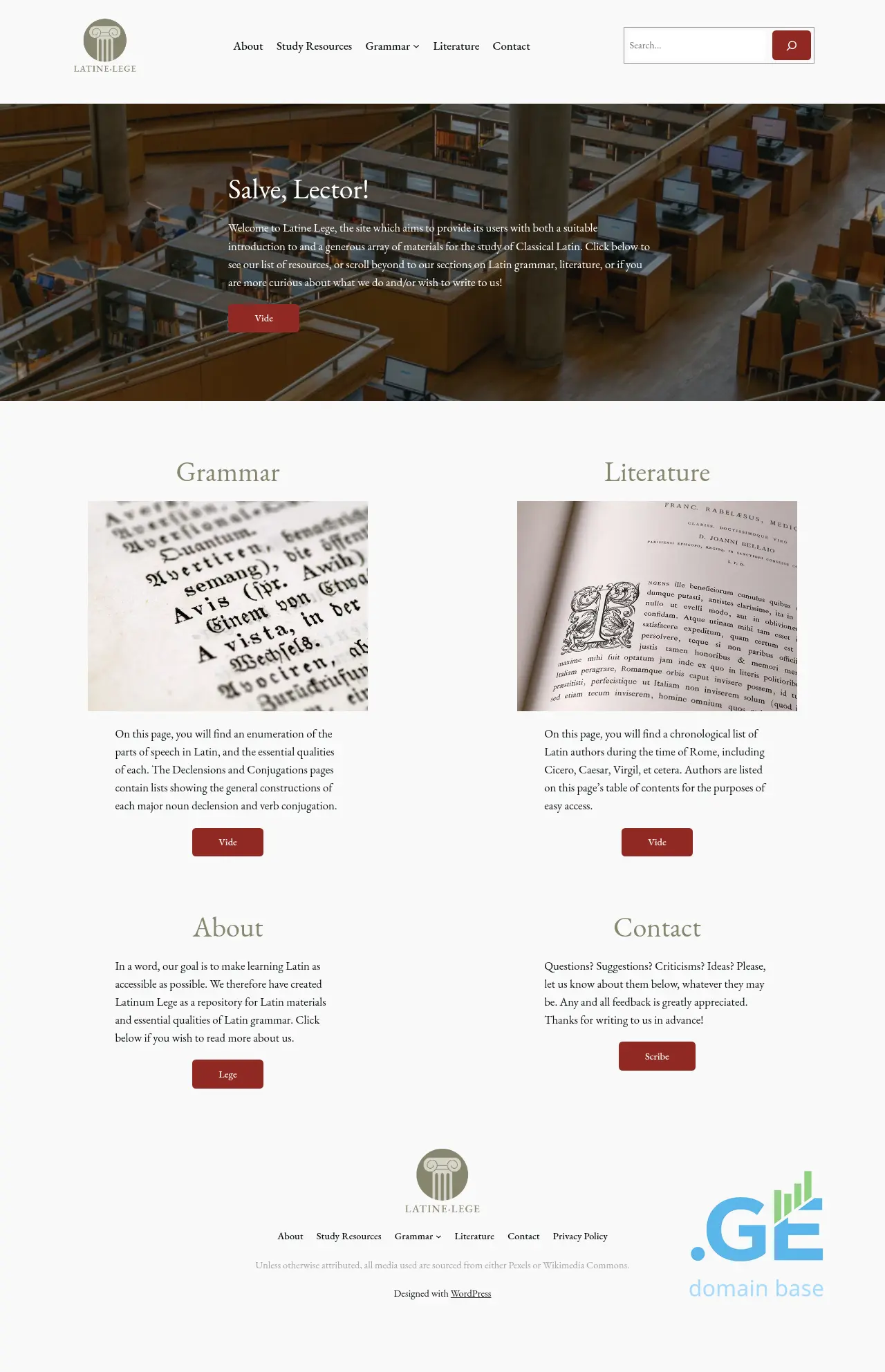 Screenshot of the site latinele.ge
