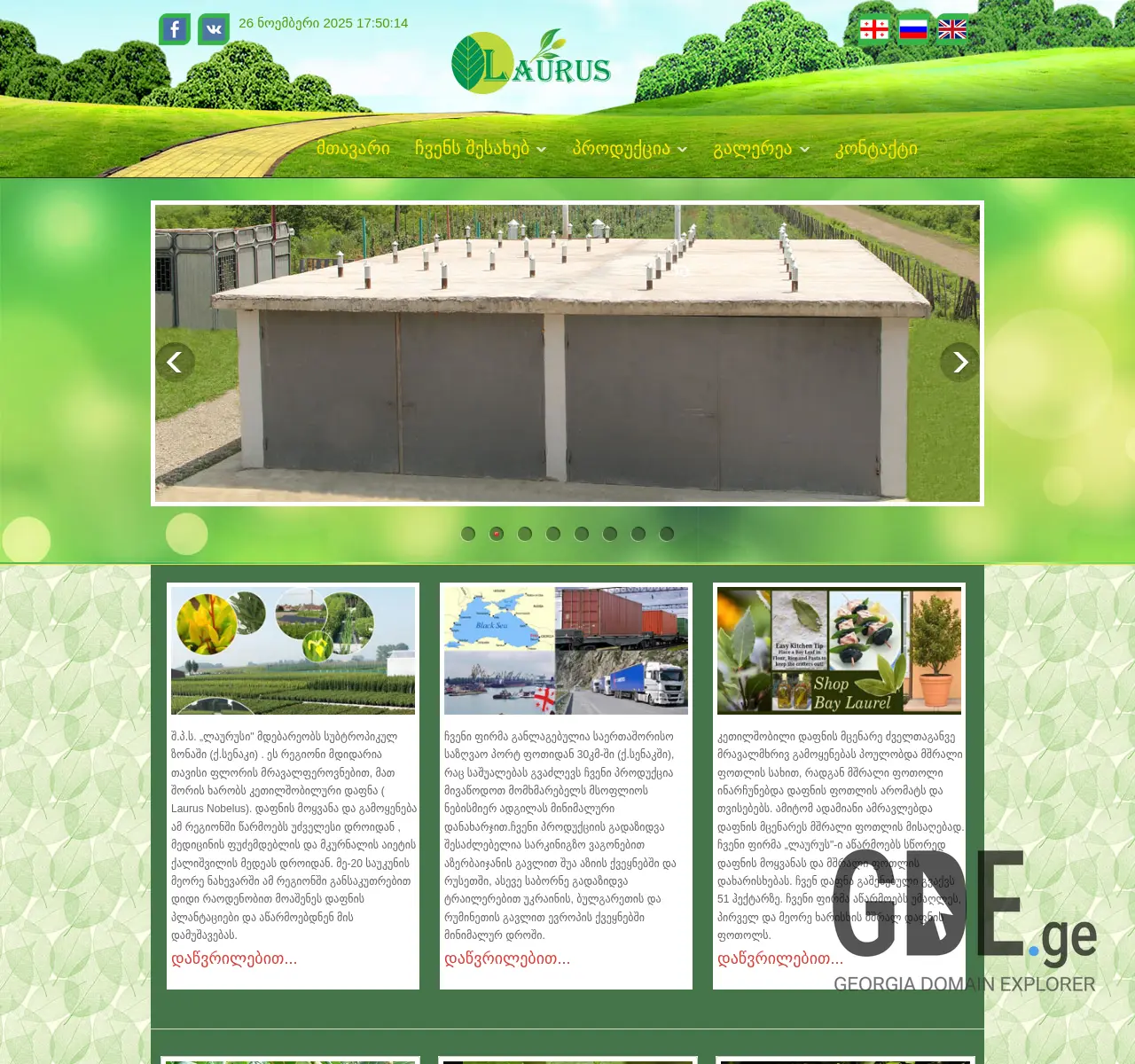 Screenshot of the site laurus.ge at 2025-11-26