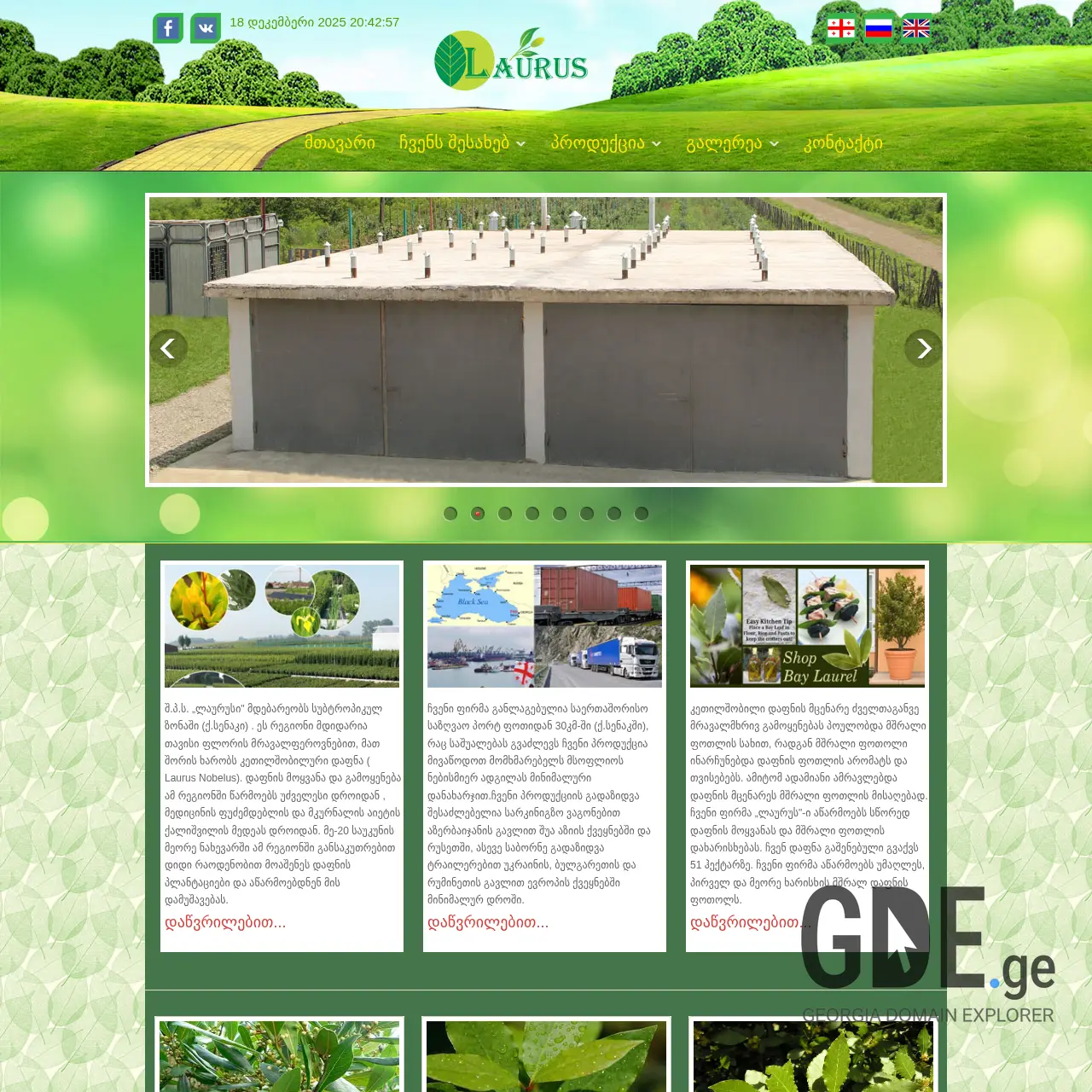 Screenshot of the site laurus.ge at 2025-12-18