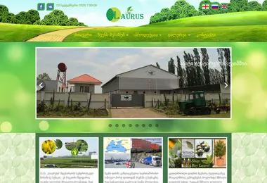 Скриншот laurus.ge