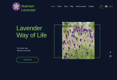 Preview from 02.12.2025