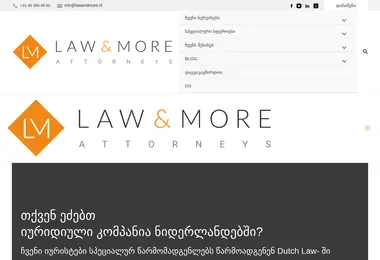 Screenshot of lawandmore.ge