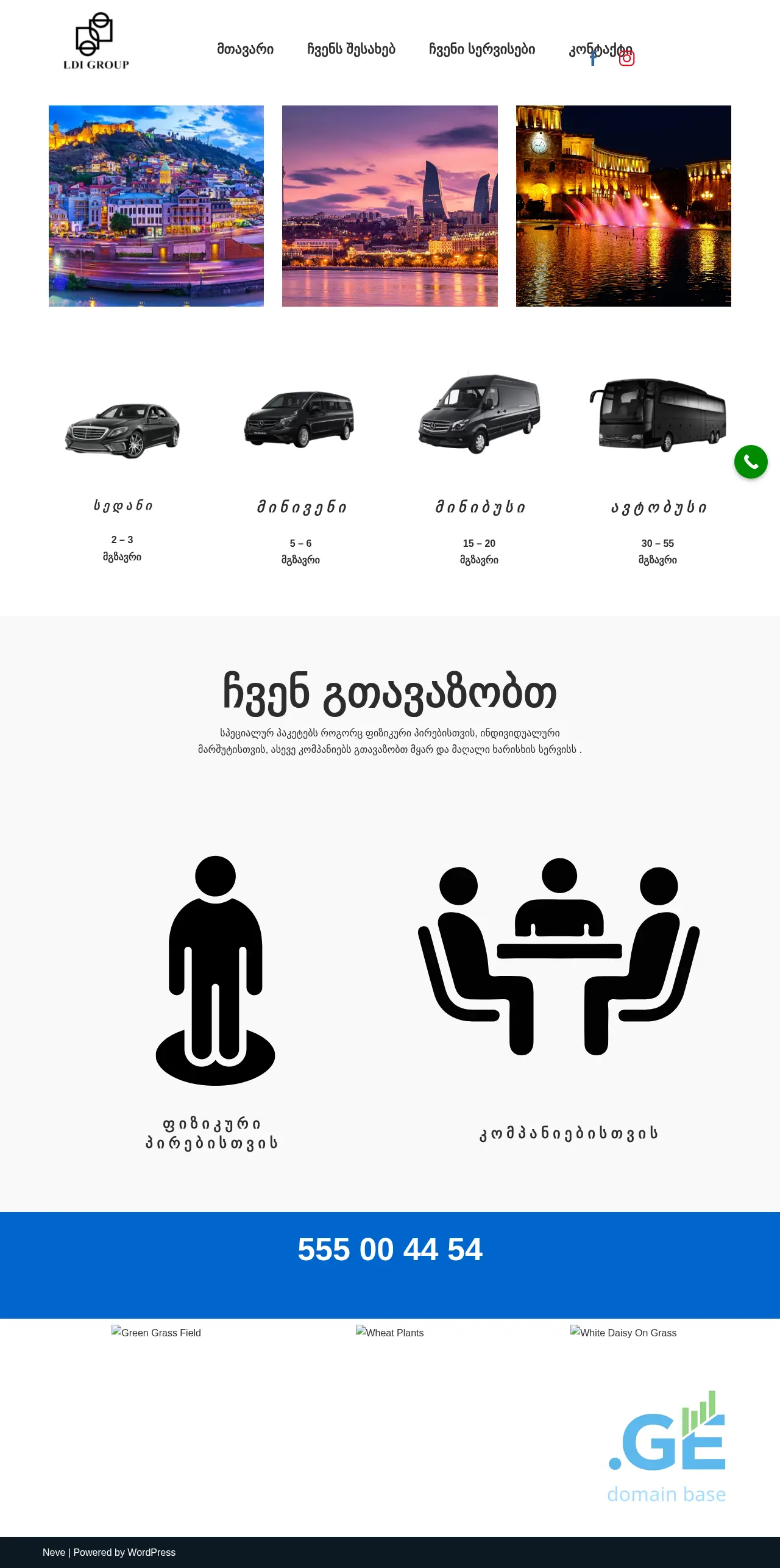Screenshot of the site ldigroup.ge