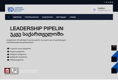 Screenshot of ldinstitution.ge