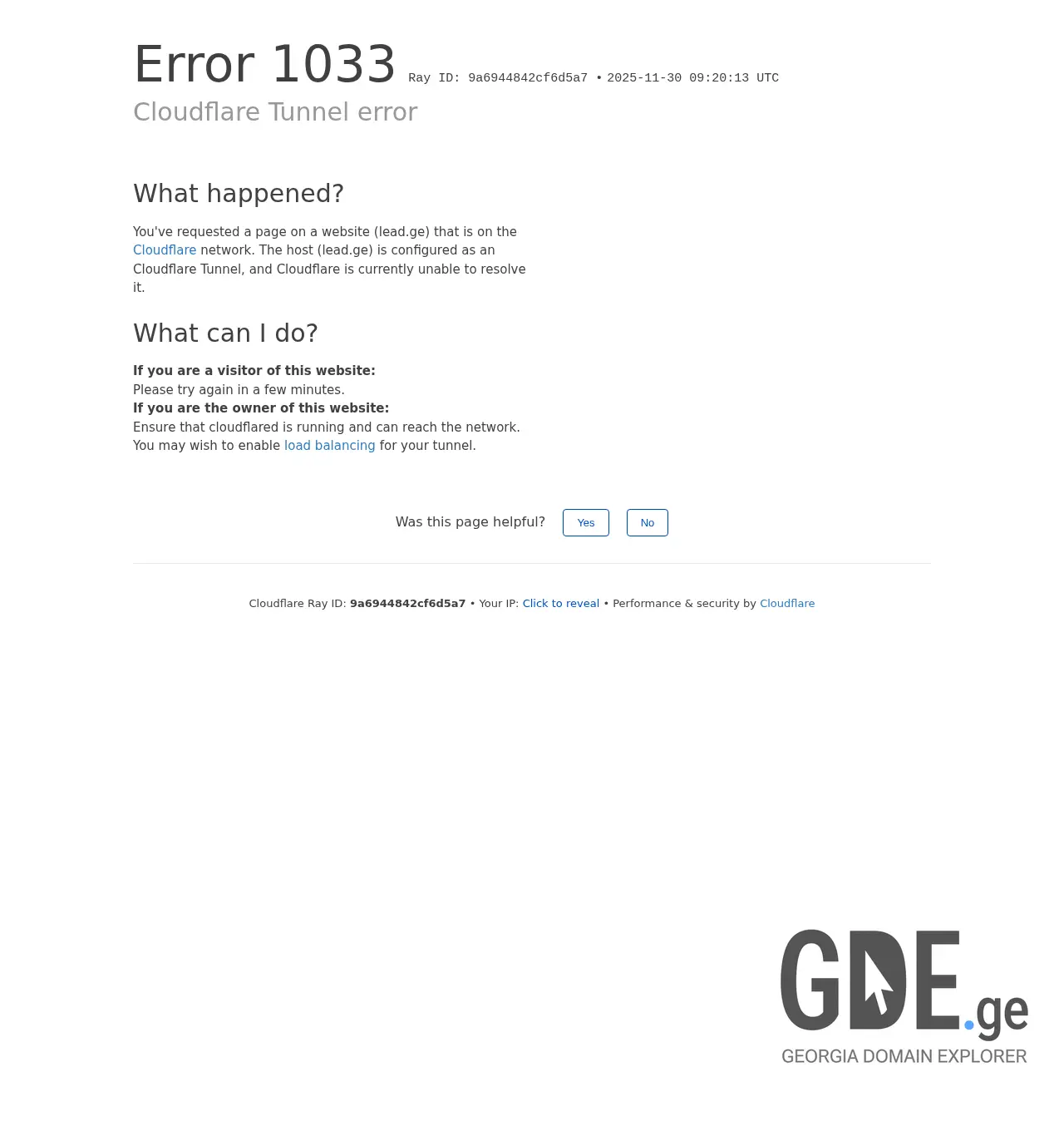 Screenshot of the site lead.ge at 2025-11-30