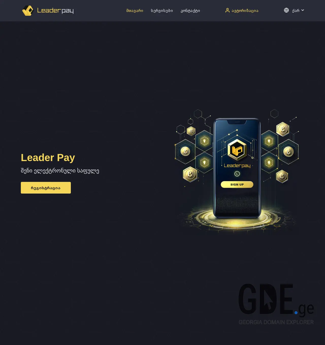 Screenshot of the site leaderpay.ge at 2025-11-29