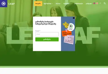 Скриншот leaf.ge