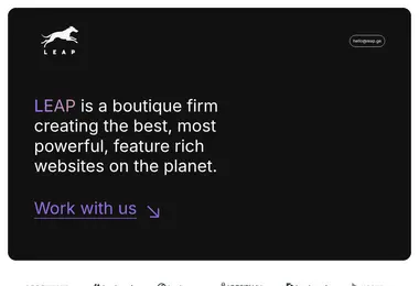 Screenshot of leap.ge