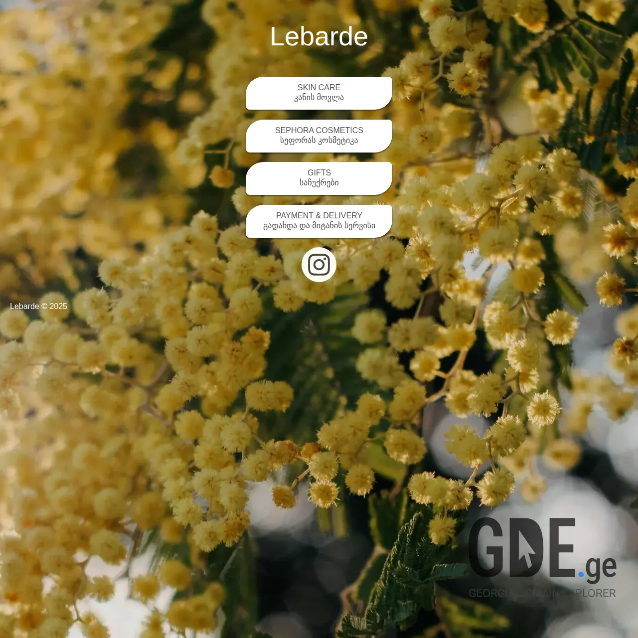 Screenshot of the site lebardebeauty.ge at 2025-12-09