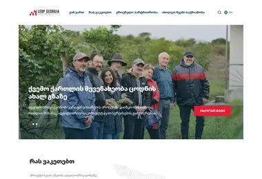 Screenshot of ledp.ge