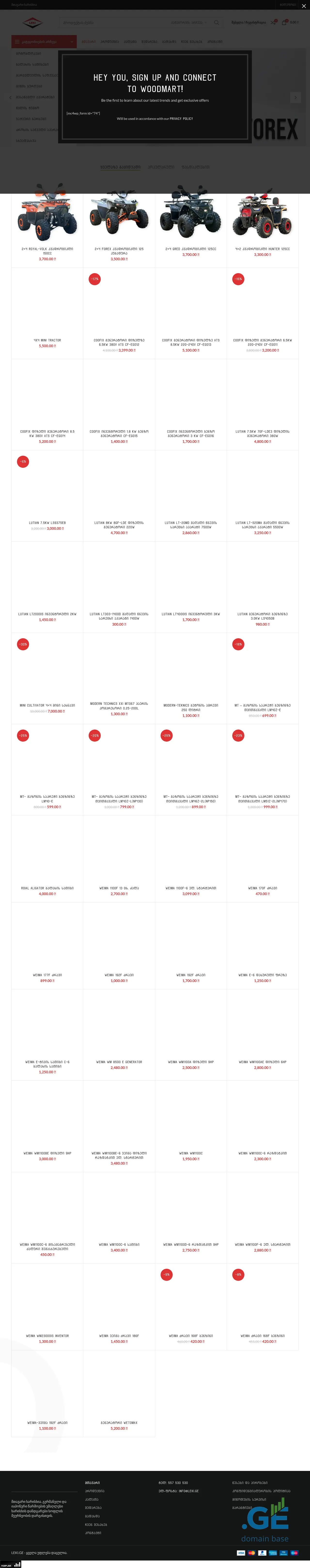 Screenshot of the site leki.ge