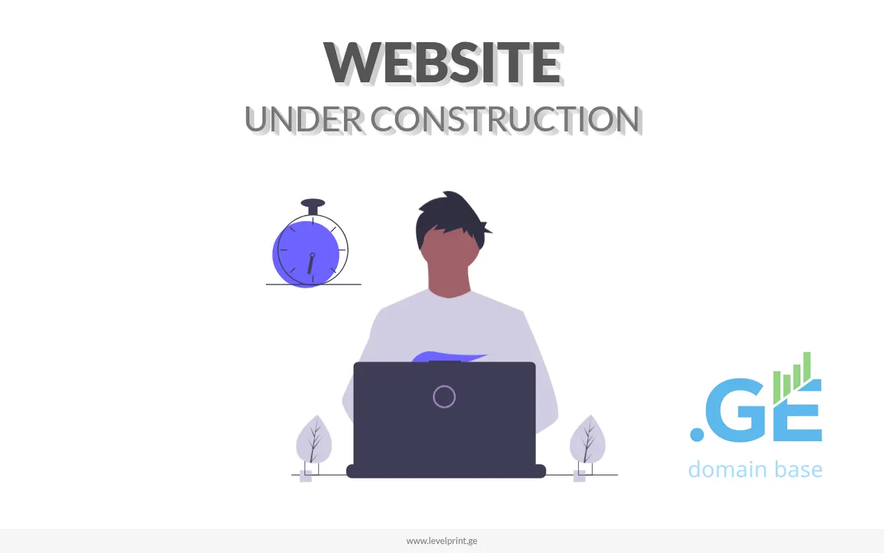 Screenshot of the site levelprint.ge