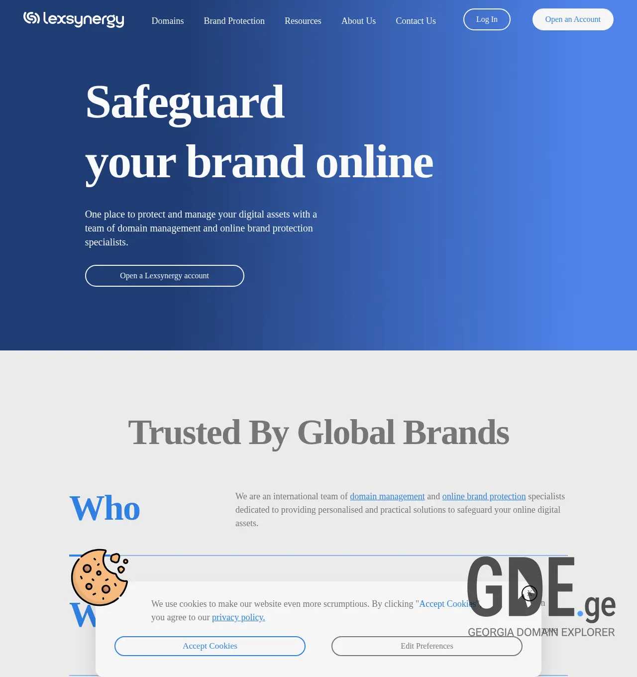 Screenshot of the site lexsynergy.ge at 2025-11-30