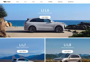 Screenshot of li-auto.ge