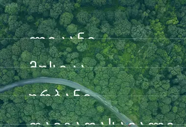 Screenshot of likanimw.ge