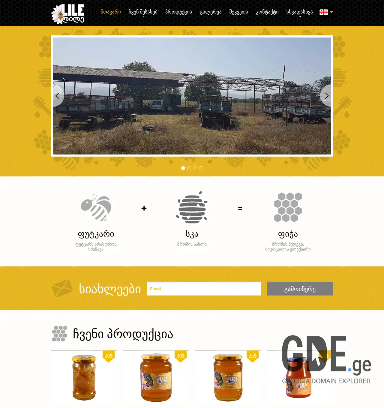 Screenshot of the site lile.ge at 2025-12-02