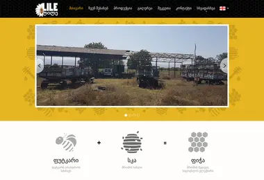 Screenshot of lile.ge