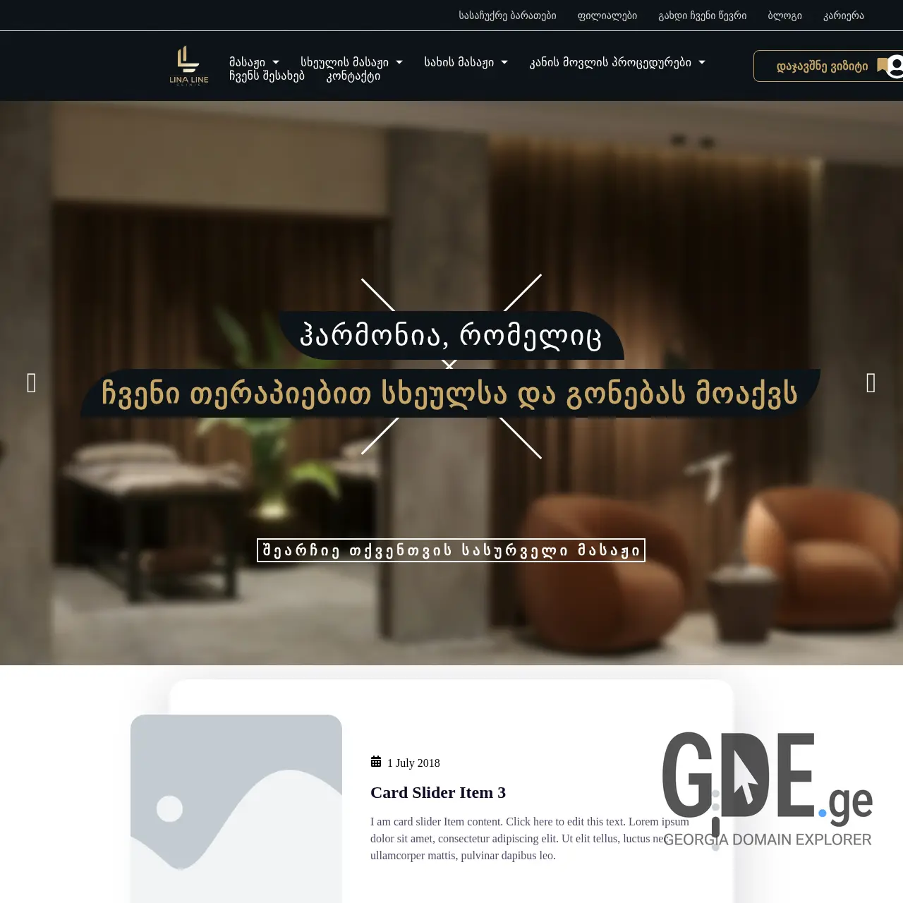 Screenshot of the site linaline.ge at 2025-12-15