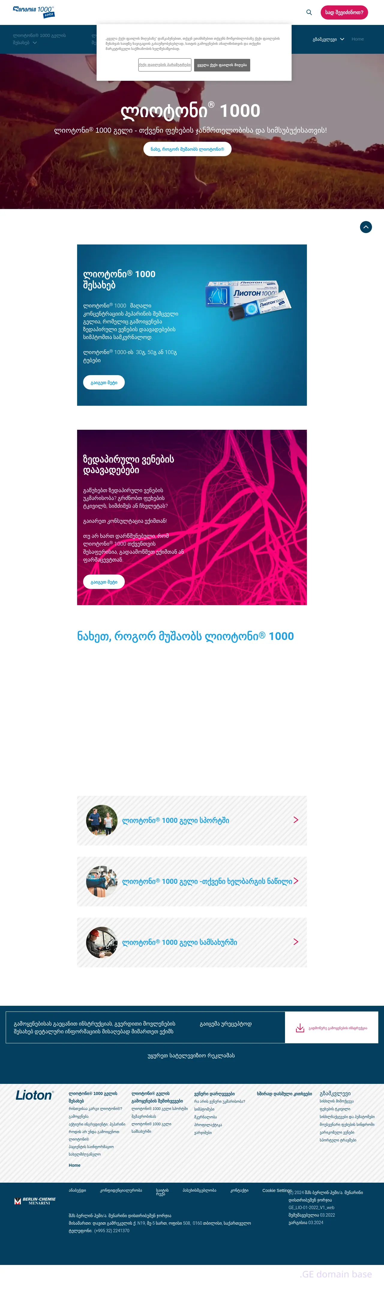 Screenshot of the site lioton.ge