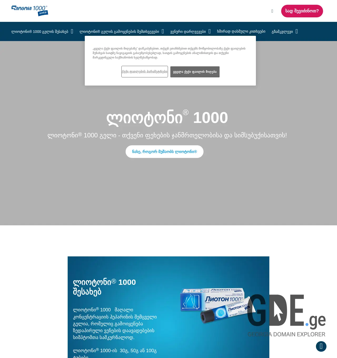 Screenshot of the site lioton.ge at 2025-12-02