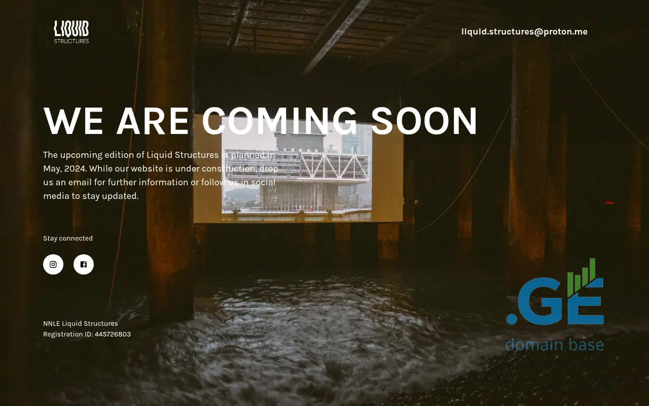 Screenshot of the site liquidstructures.ge