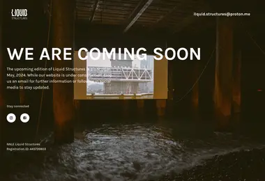 Screenshot of liquidstructures.ge