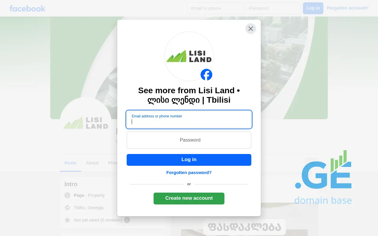 Screenshot of the site lisiland.ge