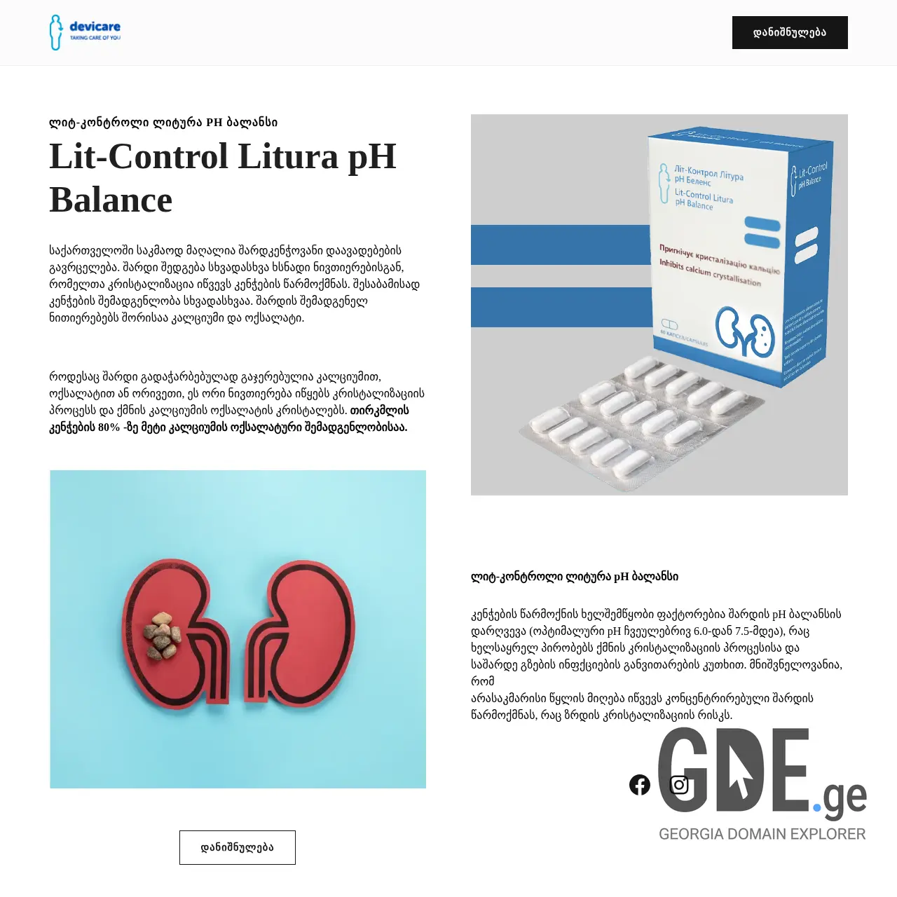 Screenshot of the site lit-control.ge at 2025-12-09