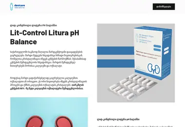 lit-control.ge-ის ეკრანის სურათი