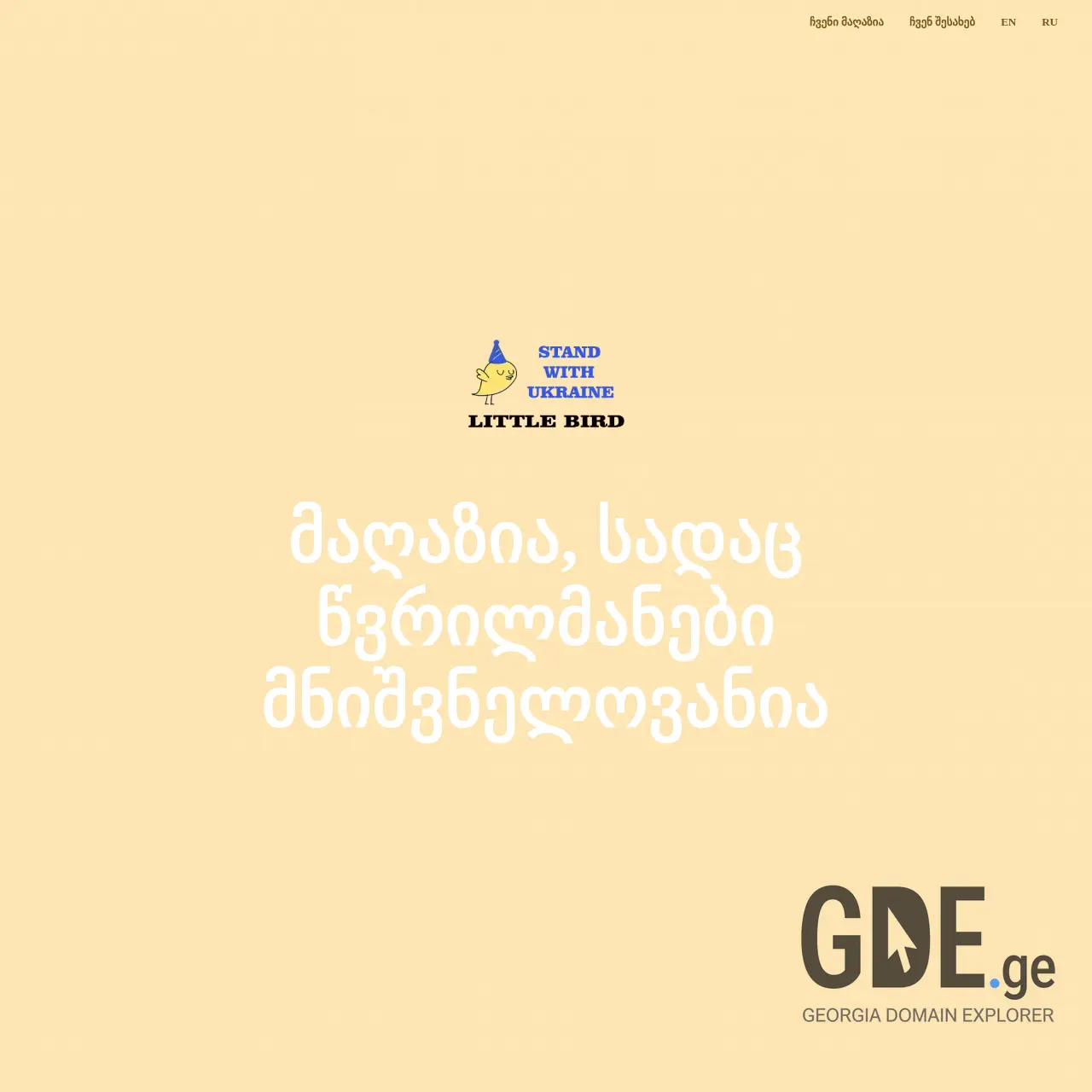 Screenshot of the site little-bird.ge at 2025-12-09