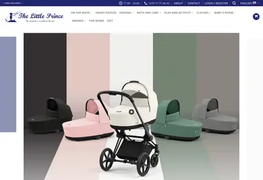 Screenshot of littleprince.ge