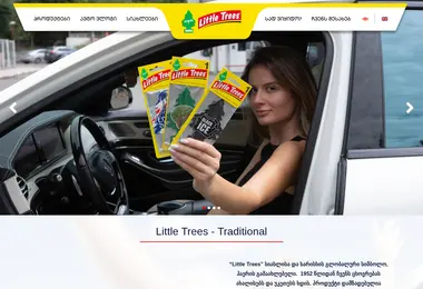 Screenshot of littletrees.ge