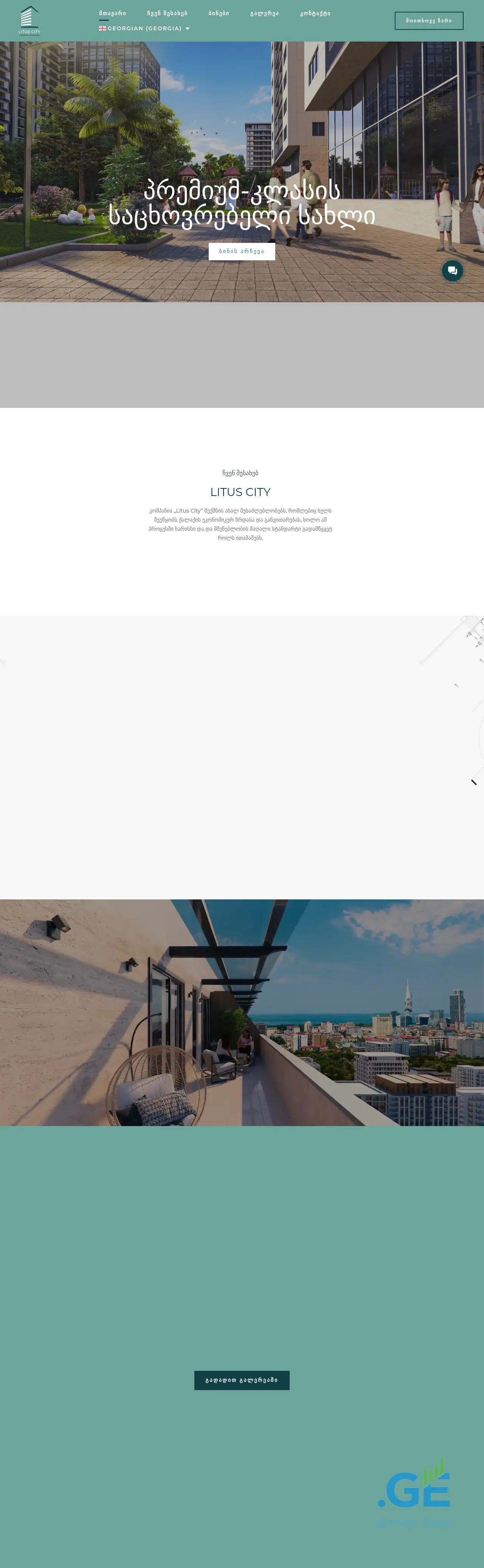Screenshot of the site lituscity.ge