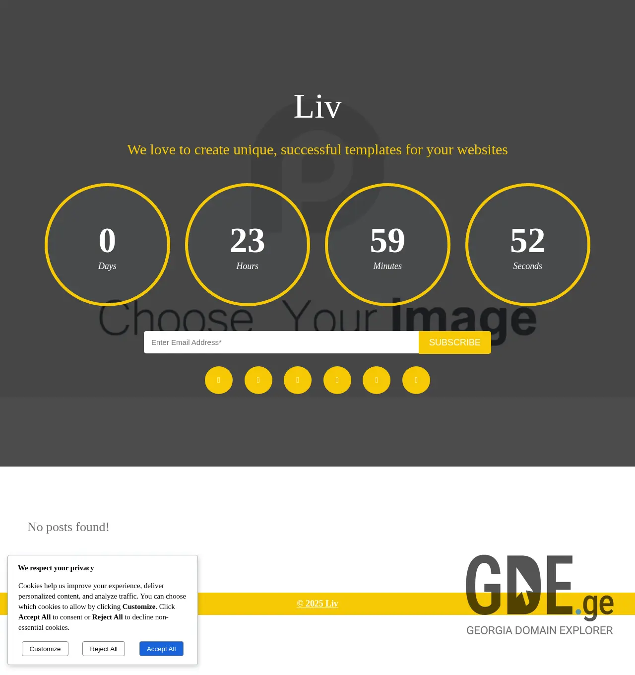 Screenshot of the site liv.ge at 2025-11-29