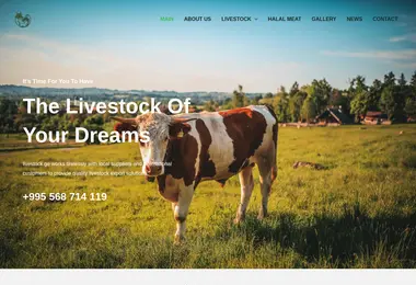 Preview from 09.12.2025