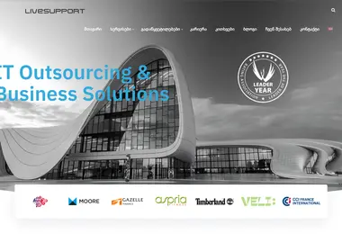 Screenshot of livesupport.ge