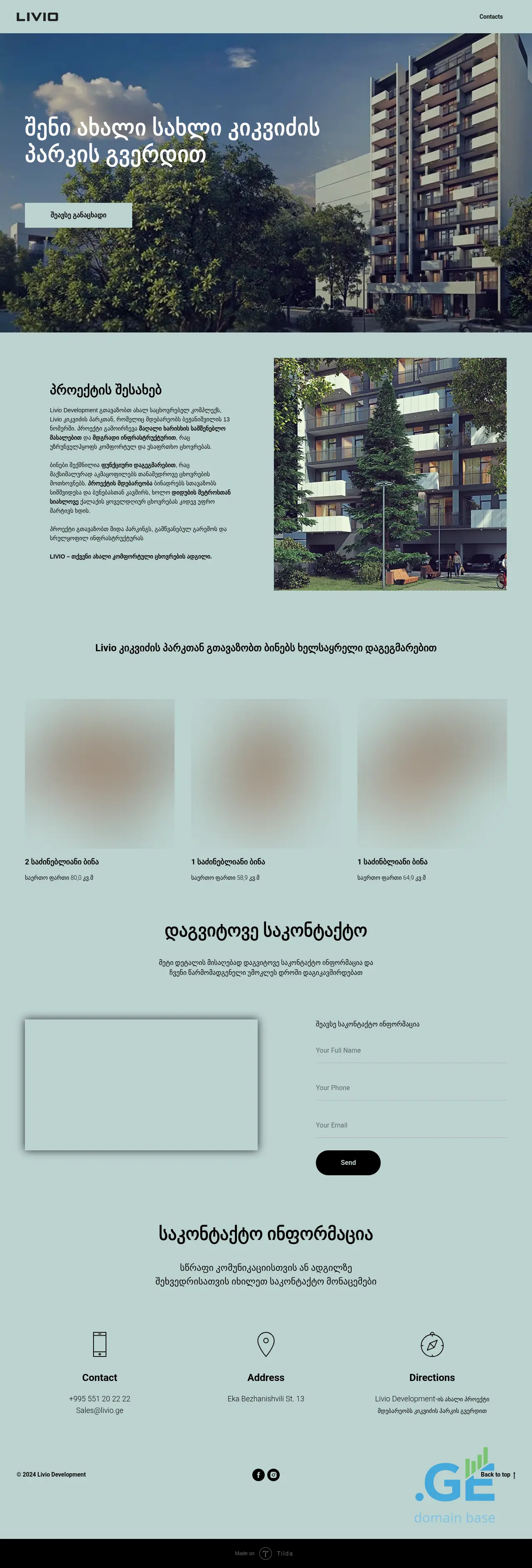 Screenshot of the site livio.ge