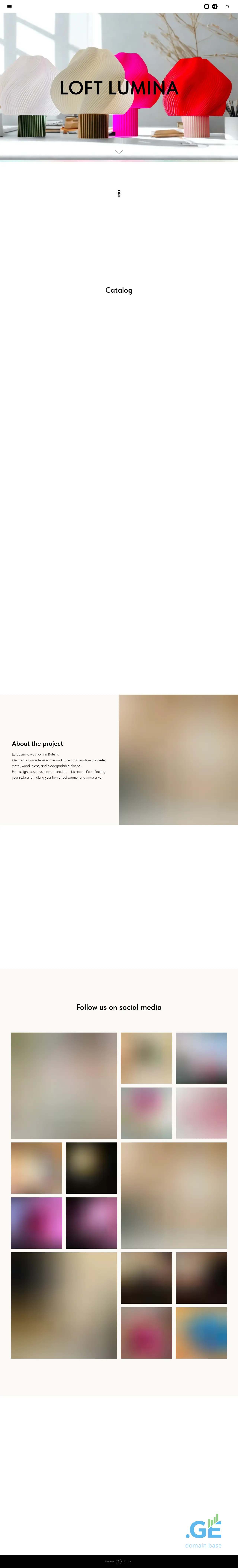 Screenshot of the site loftlumina.ge