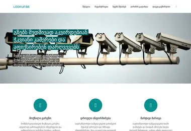 Скриншот lookup.ge