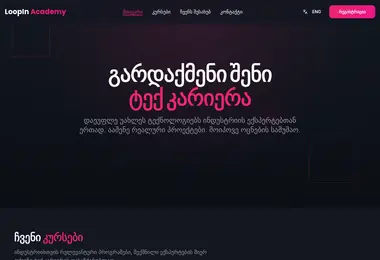 Screenshot of loopinacademy.ge