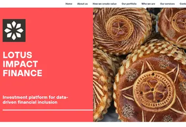Screenshot of lotusfinance.ge