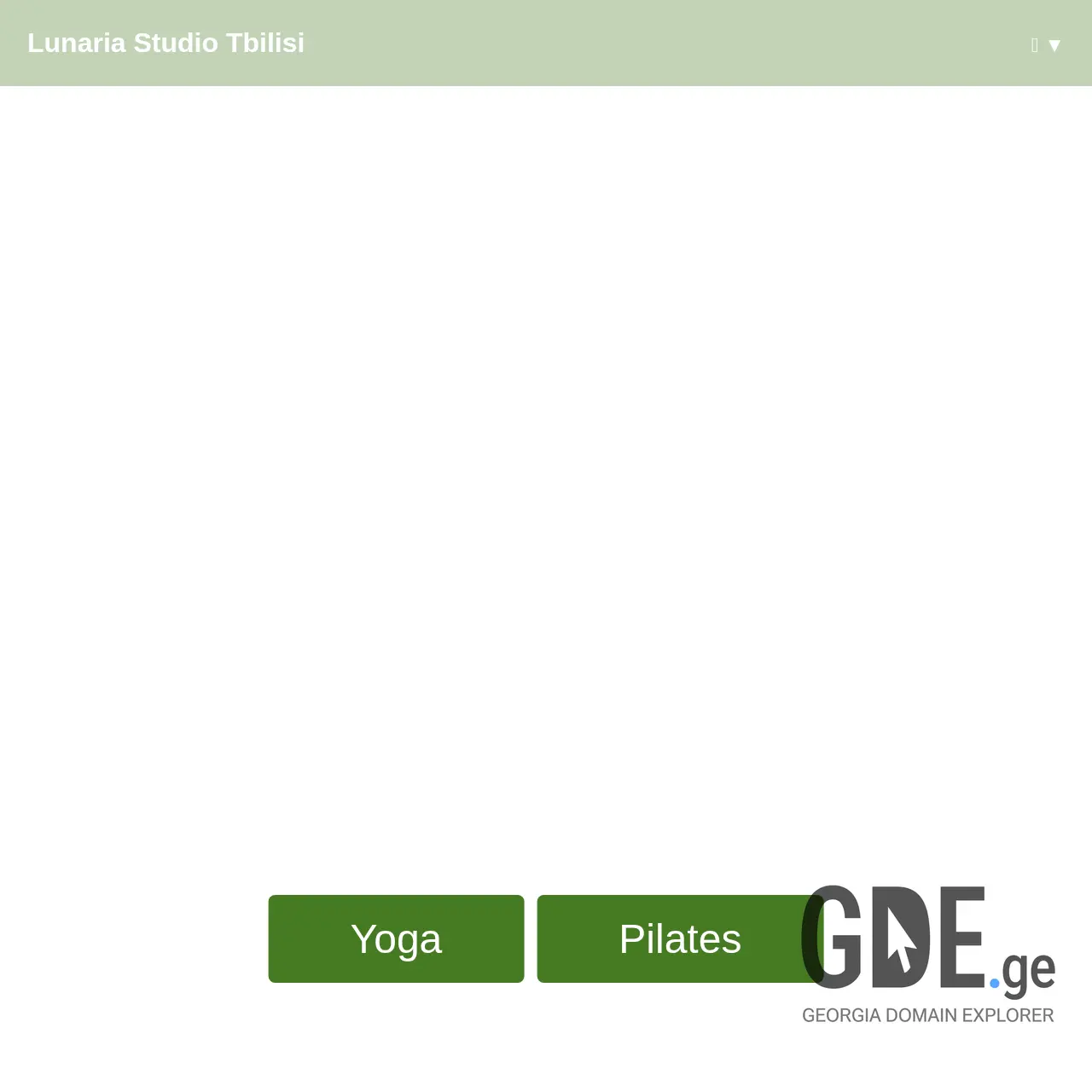 Screenshot of the site lunaria.ge at 2025-12-09