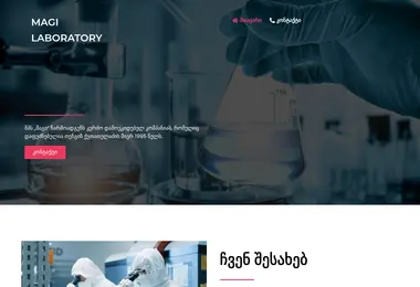 Скриншот magi-lab.ge