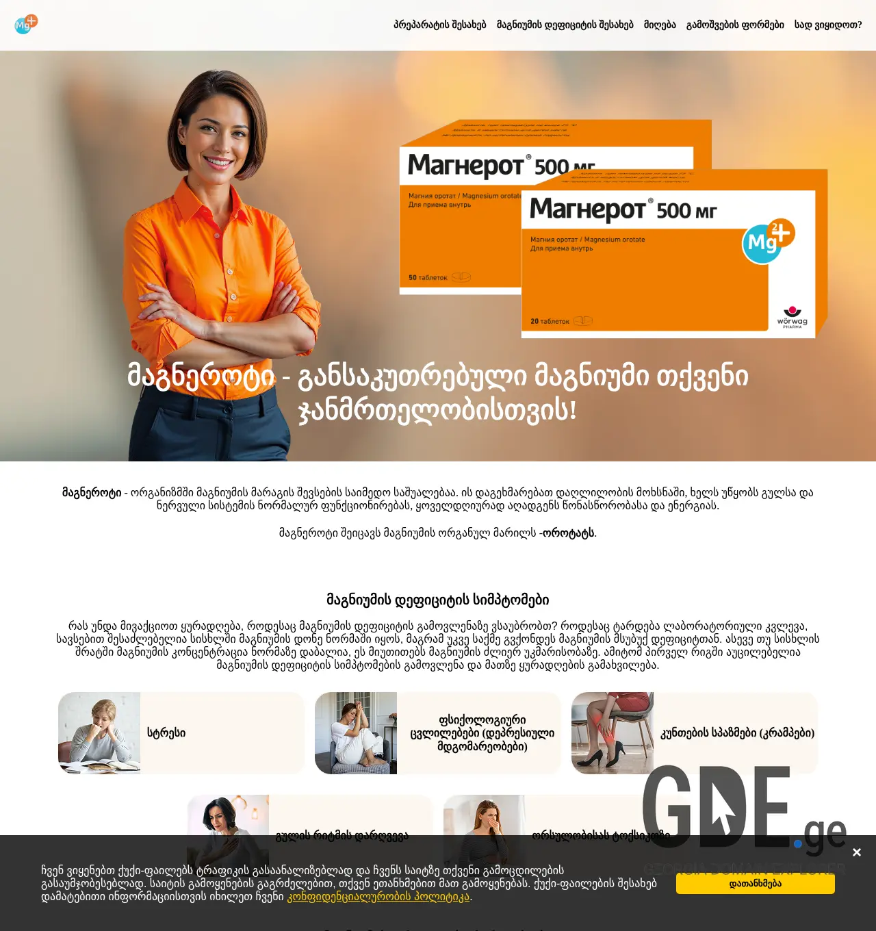 Screenshot of the site magnerot.ge at 2025-12-06