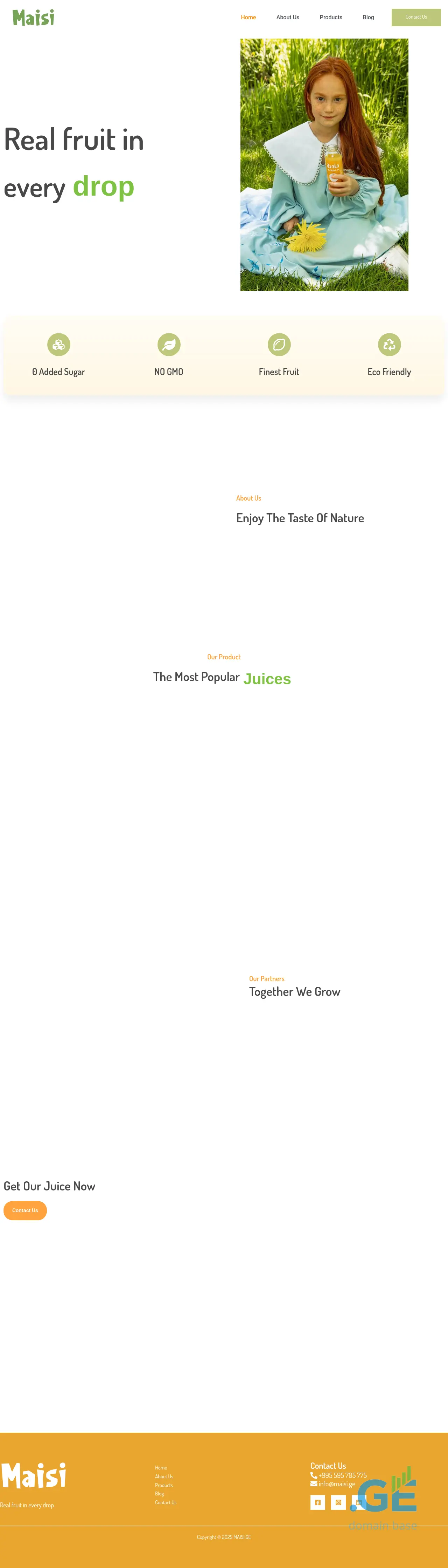 Screenshot of the site maisi.ge at 2025-10-09