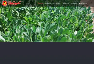 maknatuna.ge-ის ეკრანის სურათი