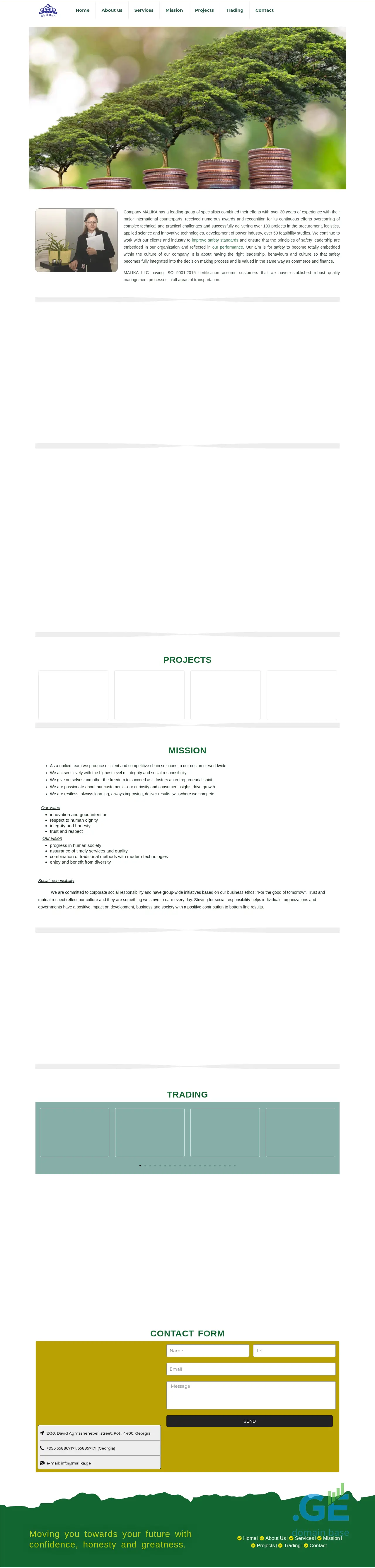 Screenshot of the site malika.ge