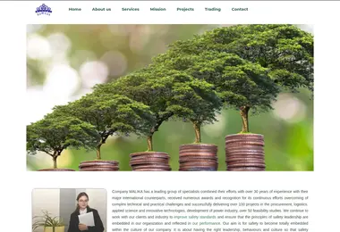 Screenshot of malika.ge